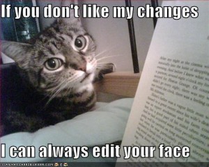 editor-cat